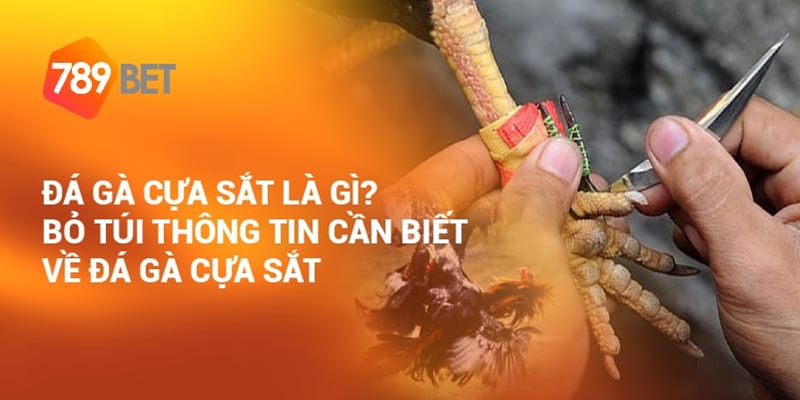 gioi-thieu-da-ga-789bet-cua-sat